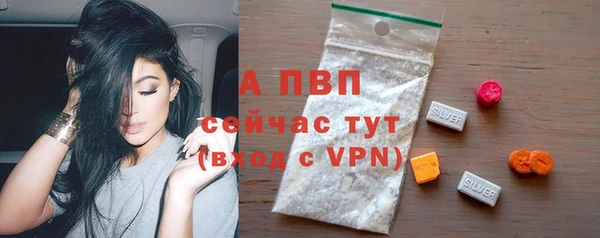 стаф Бородино