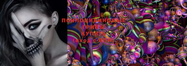 стаф Бородино