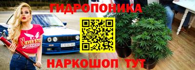 spice Янаул