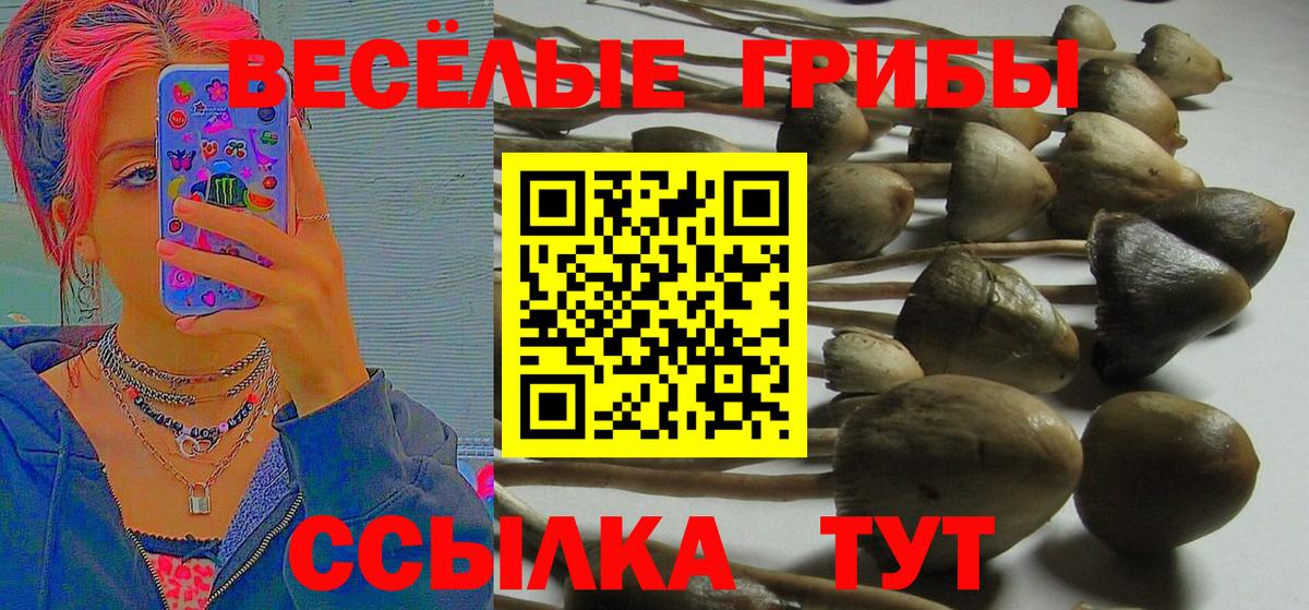 Псилоцибиновые грибы мицелий Радужный